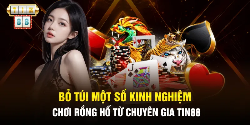 Bỏ túi một số kinh nghiệm chơi Rồng Hổ từ chuyên gia Tin88